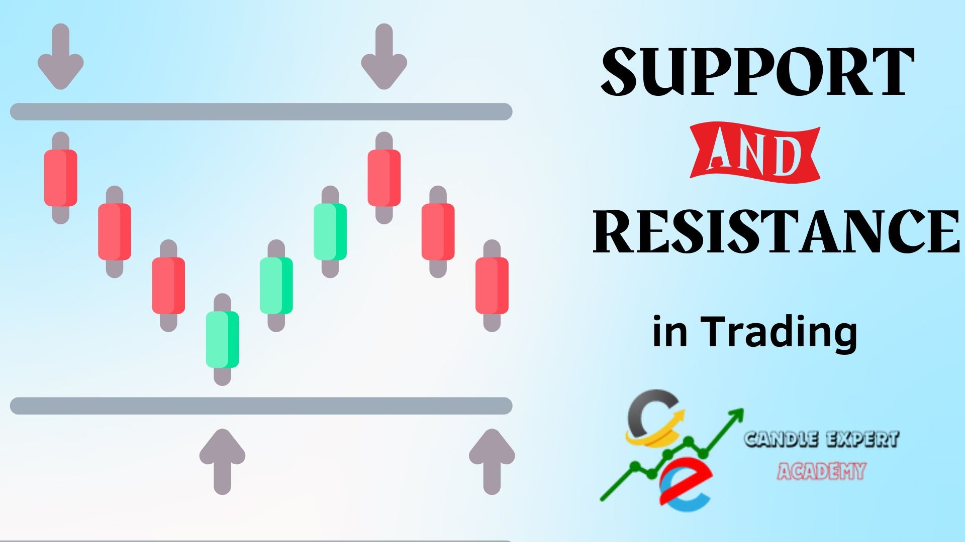 Support and Resistance in Trading: A Beginner Guide